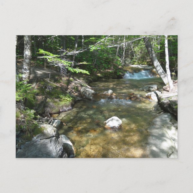 Carte Postale Cascade de la rivière Pemigewasset III (Devant)