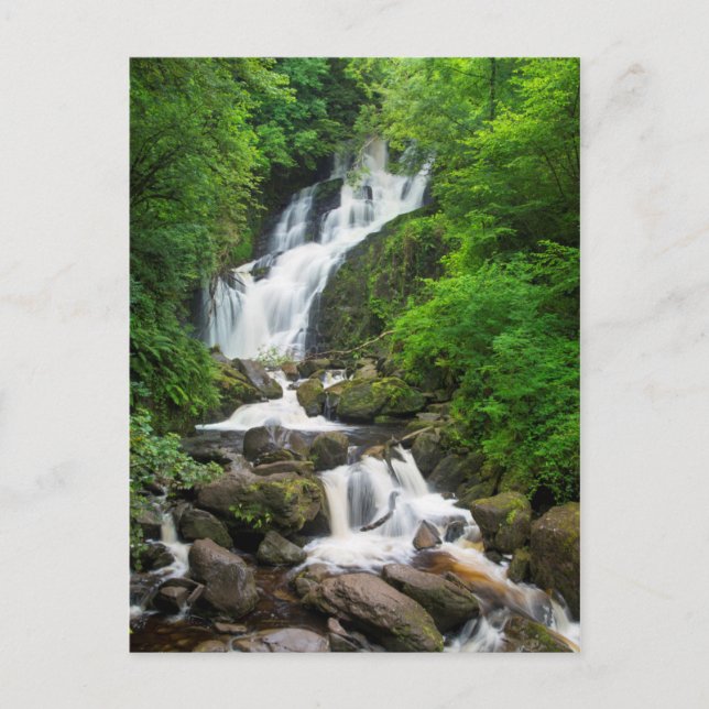Carte Postale Cascade de Torc paysage, Irlande (Devant)