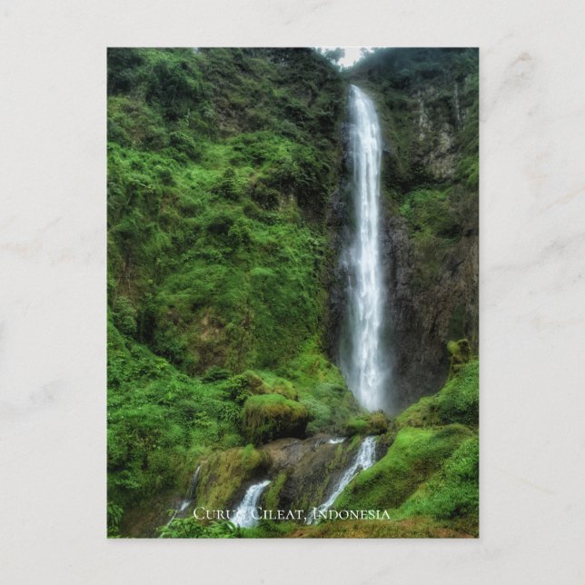 Carte Postale Cascade d'eau naturelle verte luxuriante fraîche (Devant)