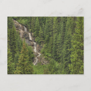 Carte Postale Cascade des Rocheuses