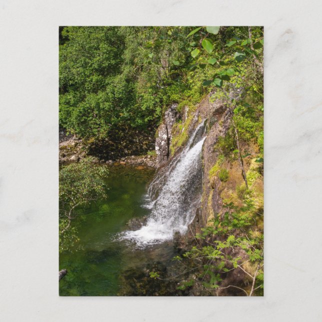 Carte Postale Cascade du fleuve Coe (Devant)