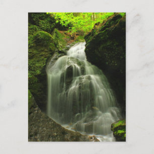 Carte Postale Cascade du mont Toby Roaring Falls