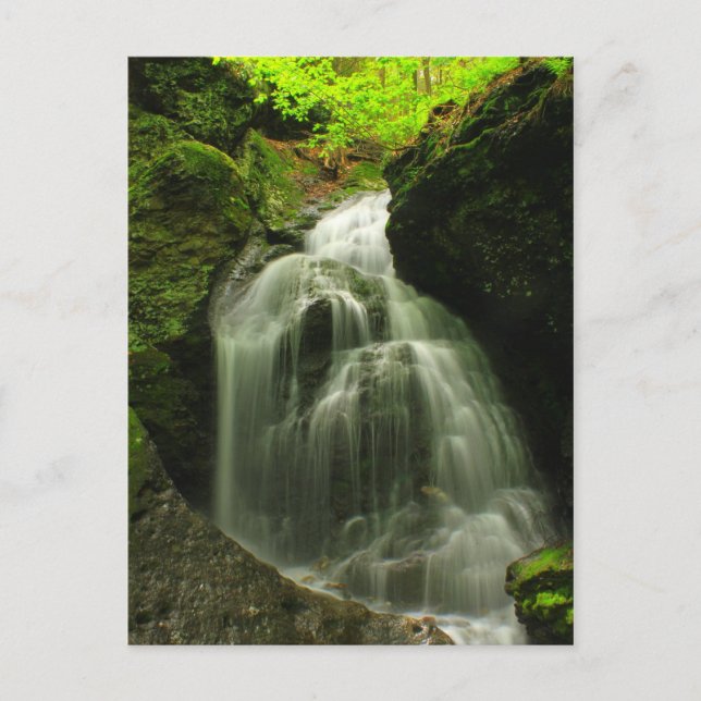 Carte Postale Cascade du mont Toby Roaring Falls (Devant)