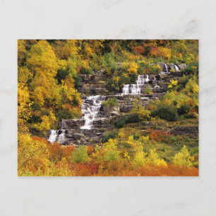 Carte Postale Cascade en dessous du mont Cannon dans Glacier Nat