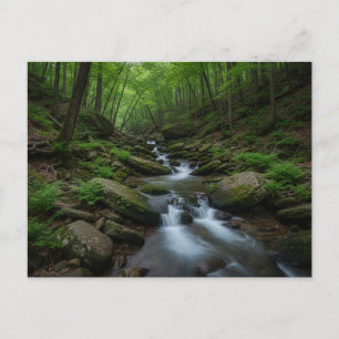 Carte Postale Cascade forestière de Gatlinburg, Tennessee