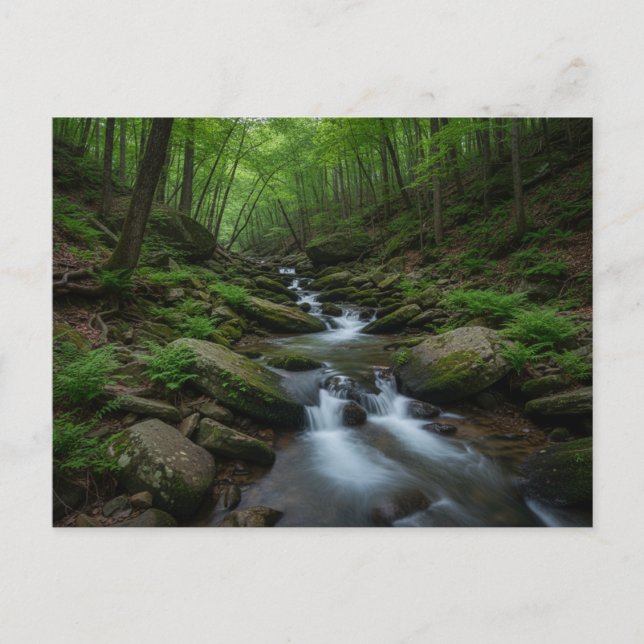 Carte Postale Cascade forestière de Gatlinburg, Tennessee (Devant)