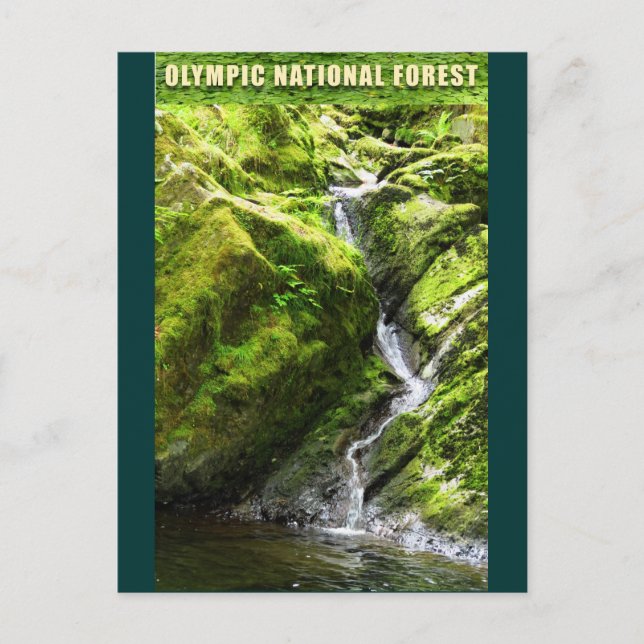 Carte Postale Cascade FORESTIÈRE OLYMPIQUE NAT'L (Devant)