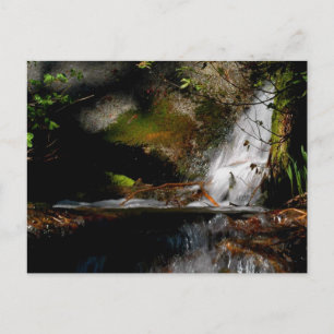 Carte Postale CASCADE. PISCINE. TOMBE. Méditation - une façon de