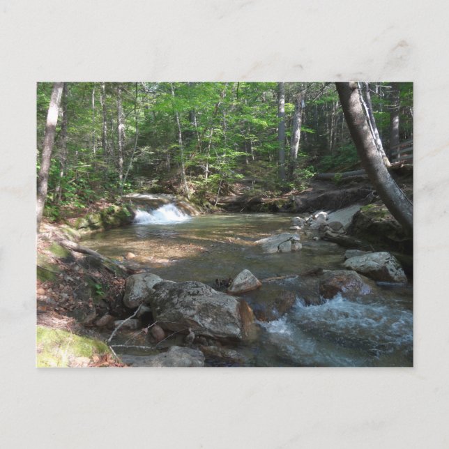 Carte Postale Cascade sur la rivière Pemigewasset I (Devant)