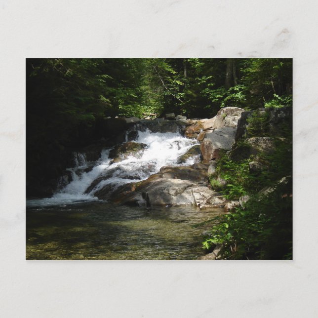Carte Postale Cascade sur le Pemigewasset (Devant)