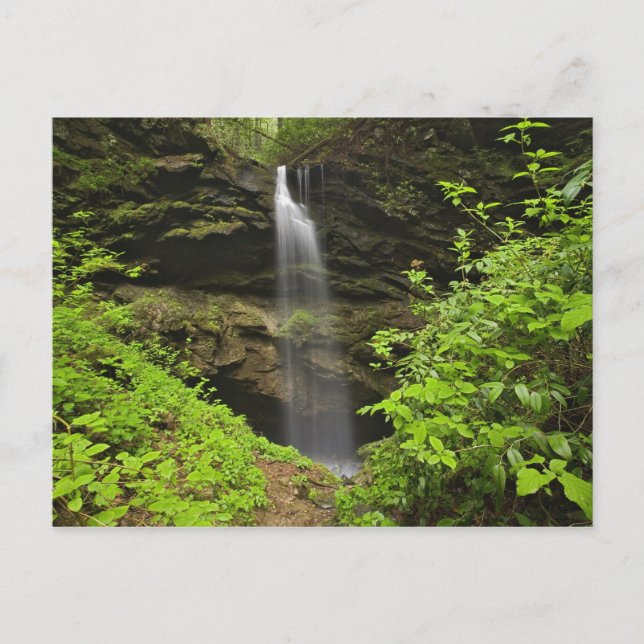 Carte Postale Cascade tombant dans l'évier, Whiteoak Sink, (Devant)