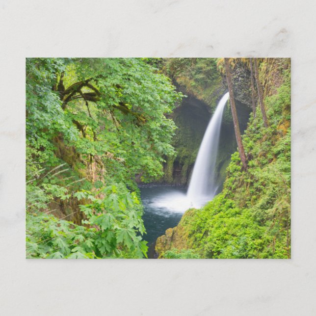 Carte Postale Cascades de Metlako (Devant)