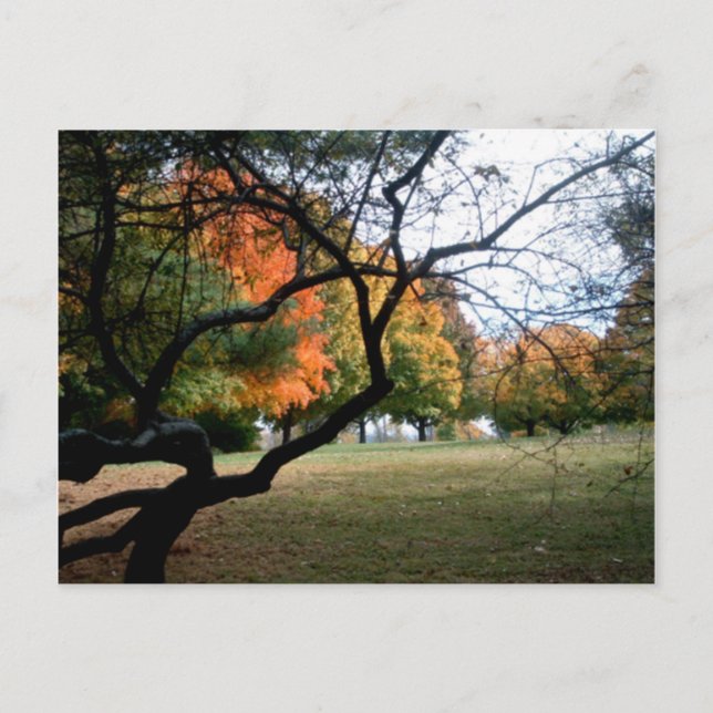 Carte Postale Caserne Jefferson (Devant)