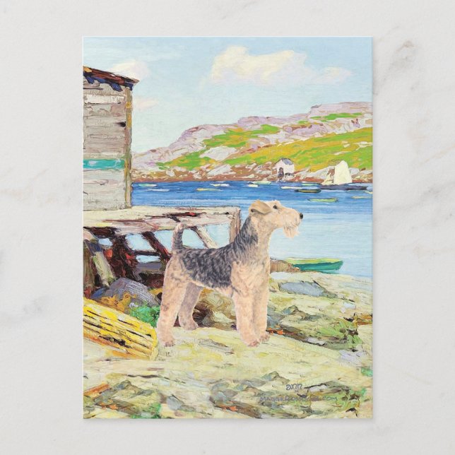 Carte Postale Casiers à homards (Devant)