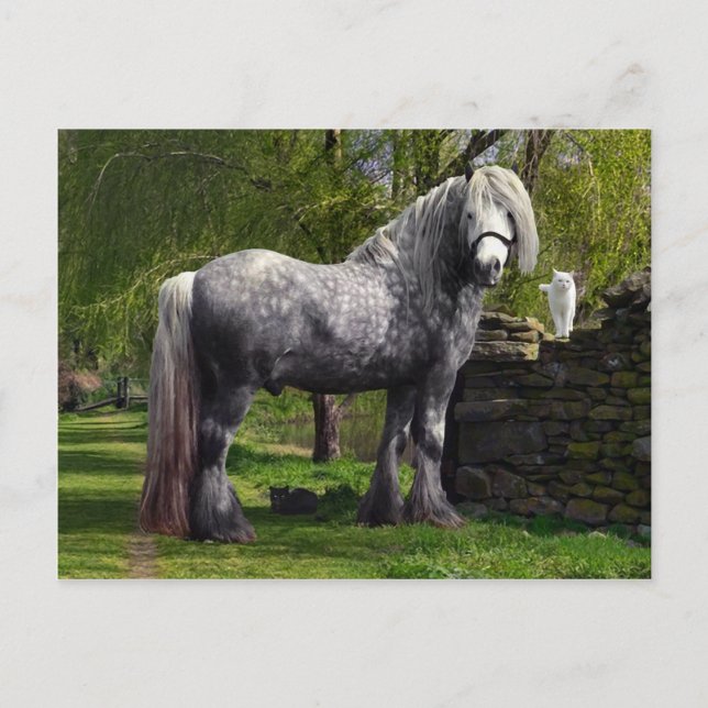 Carte postale "Caspian & Ses Chats" (Devant)