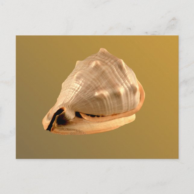 Carte Postale Casque Queens (Devant)