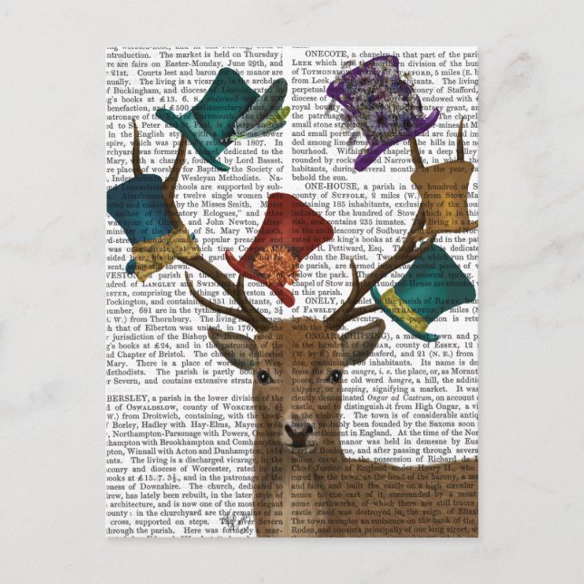 Carte Postale Casquette Collector Deer (Devant)