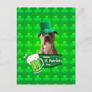 Carte Postale Casquette de la Saint-Patrick Jour du Chien à Taur