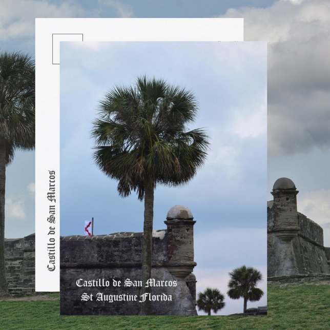 Carte Postale Castillo de San Marcos St Augustine FL Photo (Créateur téléchargé)