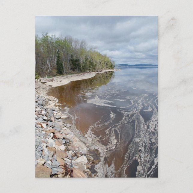 Carte postale Castine - 1 (Devant)