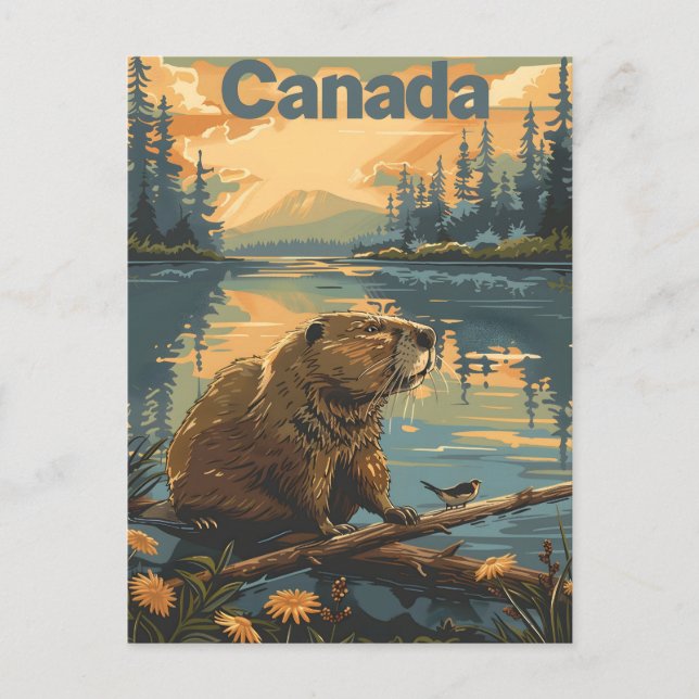 Carte Postale Castor Canada (Devant)