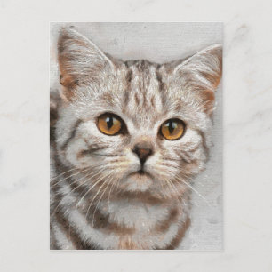 Carte Postale cat