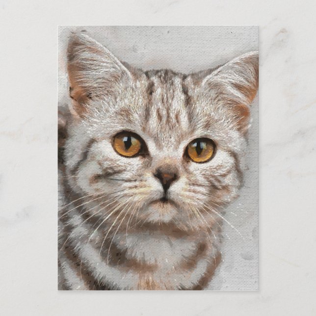 Carte Postale cat (Devant)