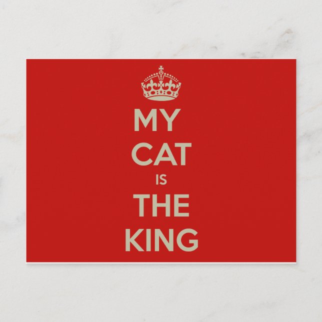 Carte Postale Cat (Devant)