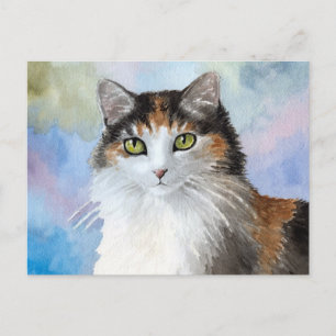 Carte postale Cat 572