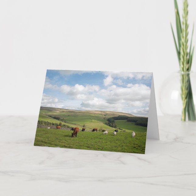 Carte postale Cat and Fiddle Inn (Devant)