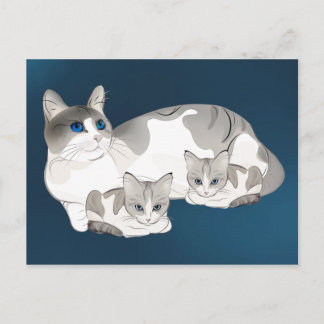 Carte Postale cat and kittens
