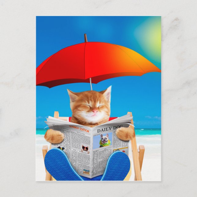 Carte Postale Cat At The Beach (Devant)