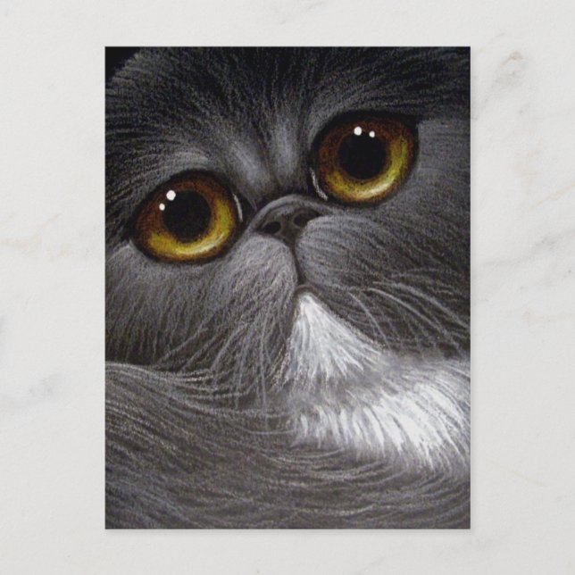 Carte postale CAT BICOLOR PERSIAN (Devant)