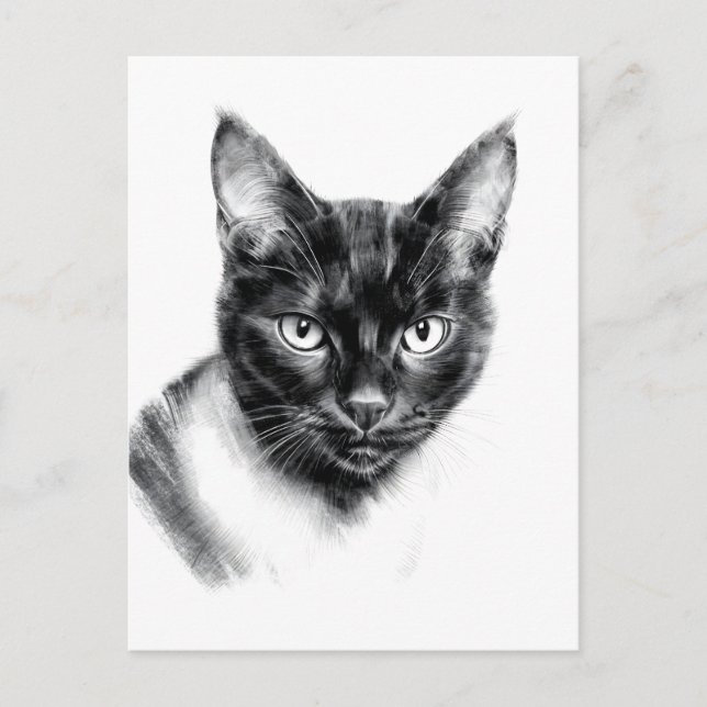 Carte Postale Cat Charcoal (Devant)