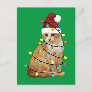 Carte Postale Cat Christmas Tree Père Noël Funny Xmas Amoureux d