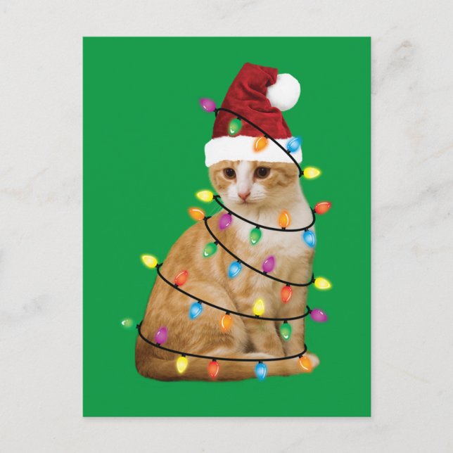 Carte Postale Cat Christmas Tree Père Noël Funny Xmas Amoureux d (Devant)