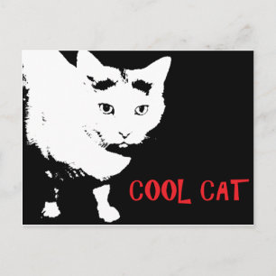 CARTE POSTALE CAT cool
