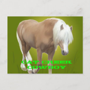 Carte Postale Cat Creek Cowboy PC