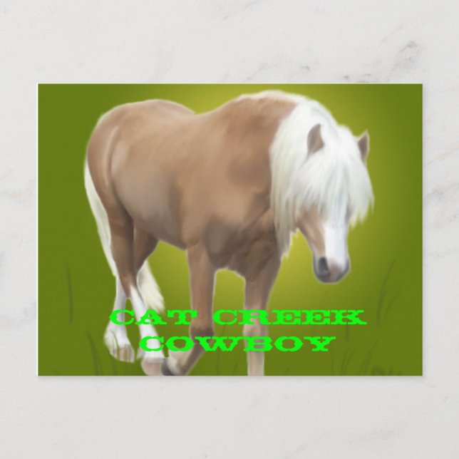Carte Postale Cat Creek Cowboy PC (Devant)