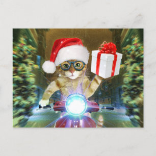 Carte Postale Cat dans le Santa Claus a empoisonné les délicieux