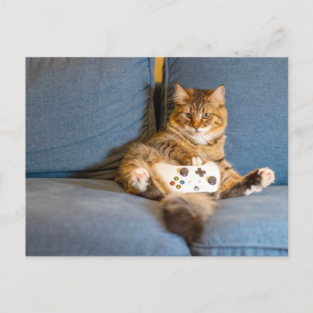 Carte Postale Cat Gamer (Devant)