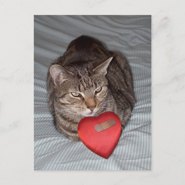 Carte Postale Cat Heart Bandaid (Devant)