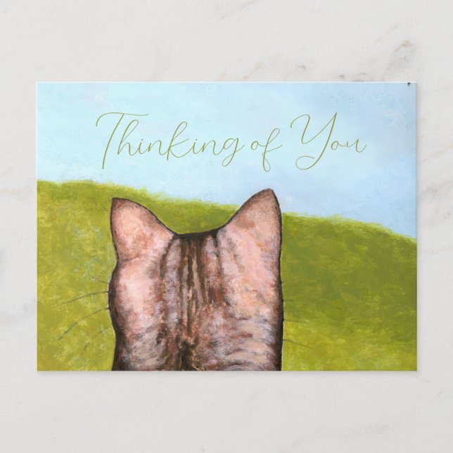 Carte Postale Cat in the Window  (Devant)