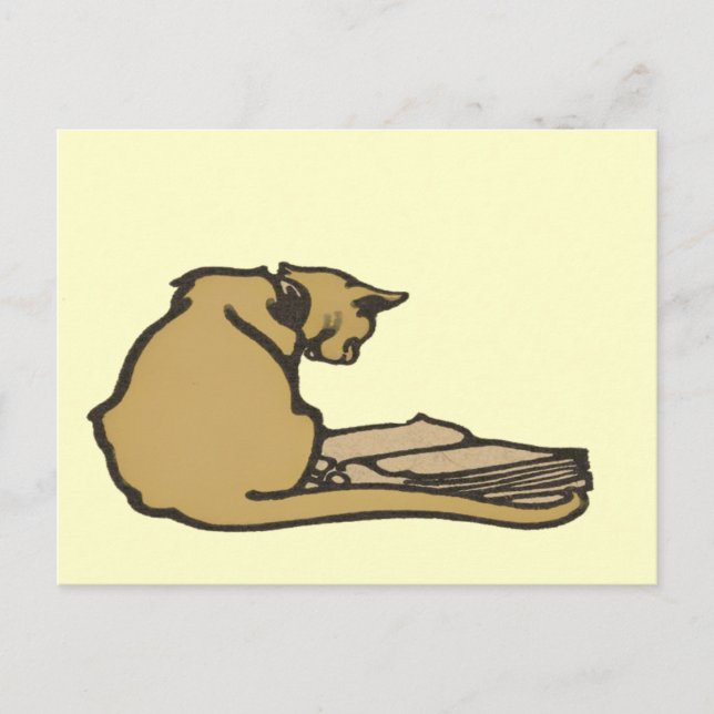 Carte postale Cat intelligente (Devant)