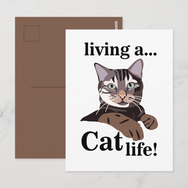 Carte Postale Cat Kitty Funny (Devant / Derrière)