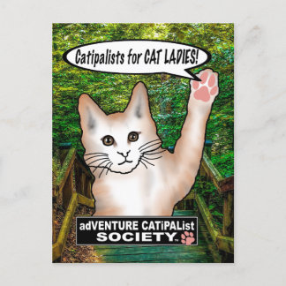 Carte postale Cat Ladies Cat