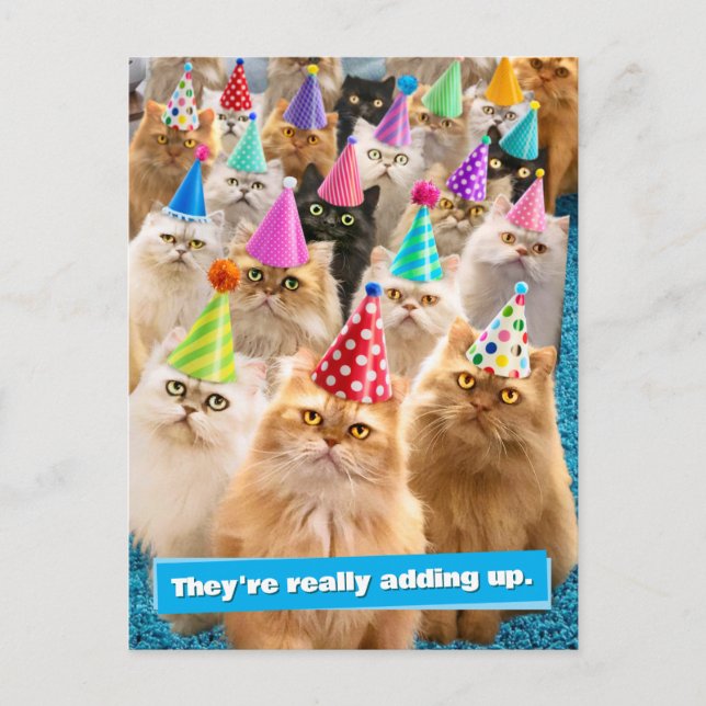 Carte Postale Cat Party (Devant)