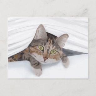 Carte Postale Cat Peeeout JW