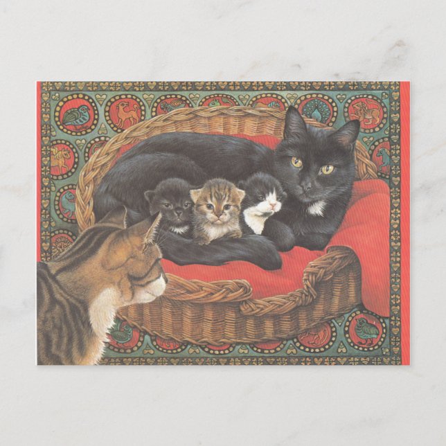Carte Postale Cat Postcards (Devant)