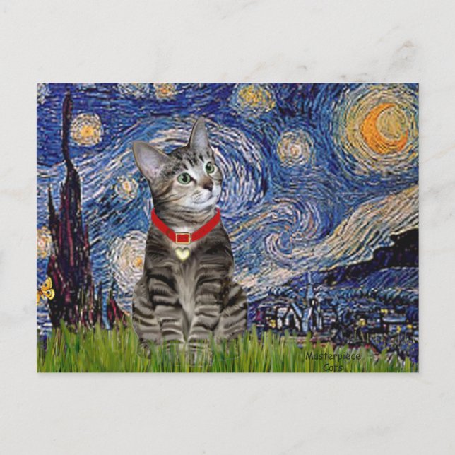 Carte Postale CAT (Tabby2) - Nuit étoilée (Devant)